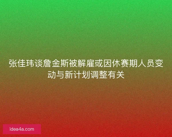 张佳玮谈詹金斯被解雇或因休赛期人员变动与新计划调整有关 张佳玮谈詹金斯被解雇或因休赛期人员变动与新计划调整有关